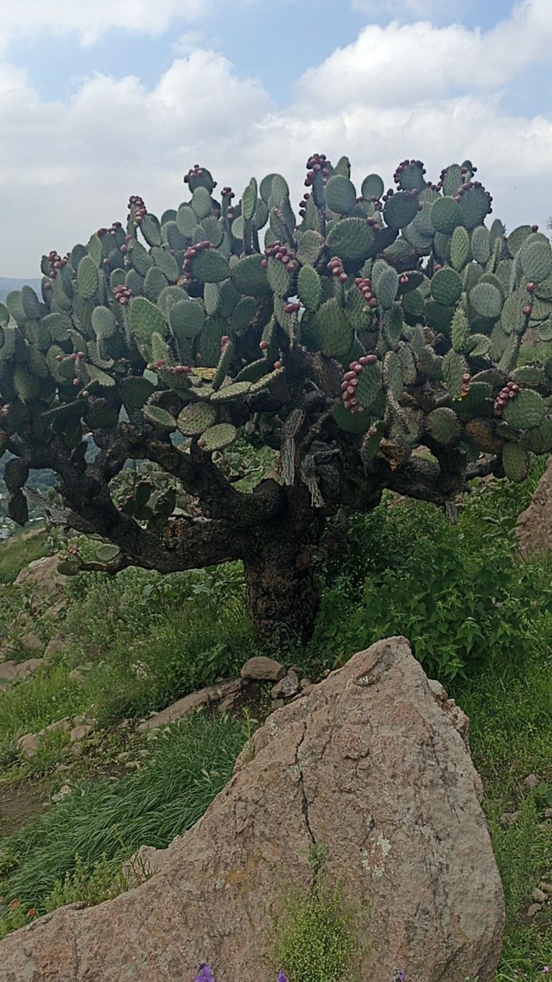 Practicando senderismo en Cerro de la rana Texcoco