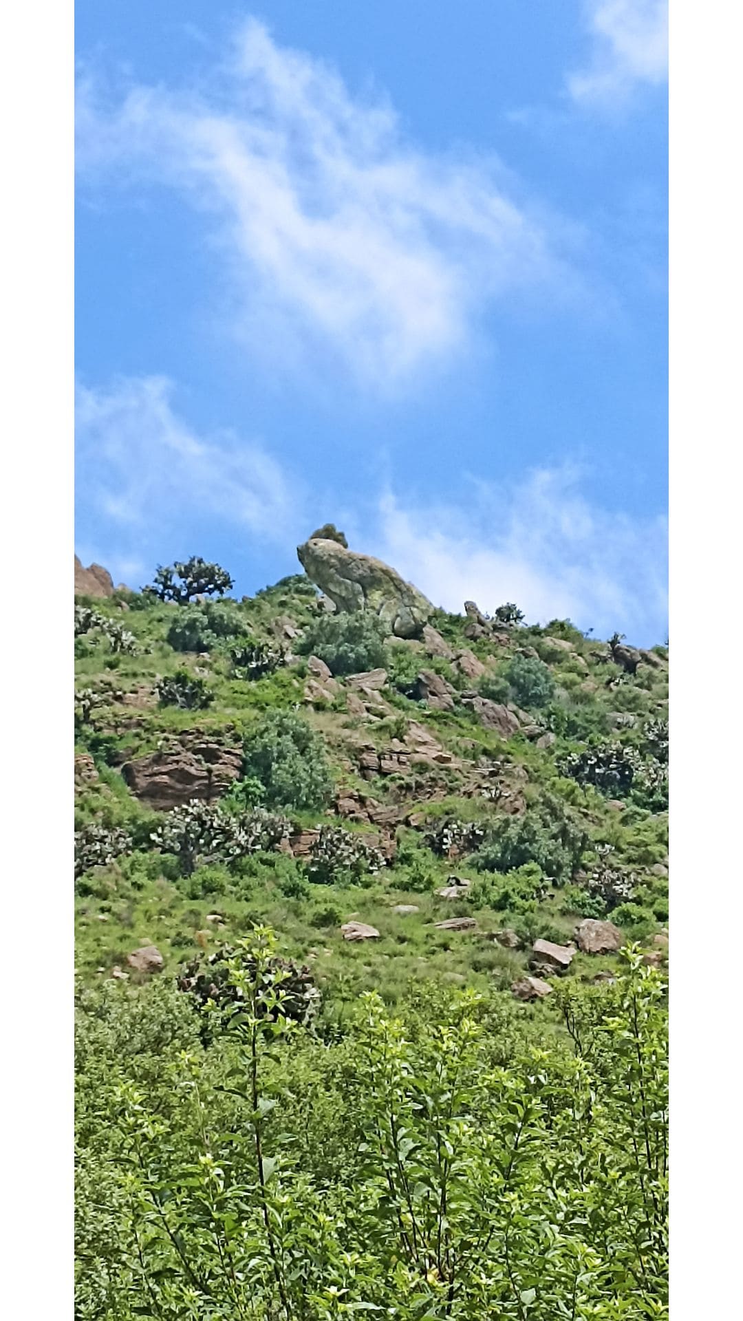 Haciendo senderismo en el cerro de la ranaTexcoco