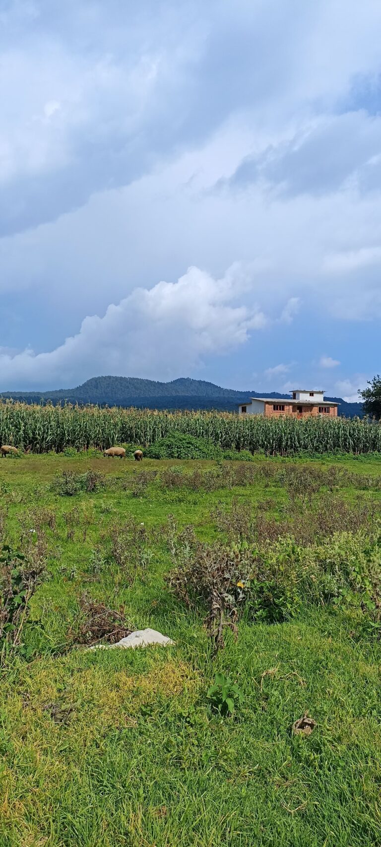 Vista total del volcán